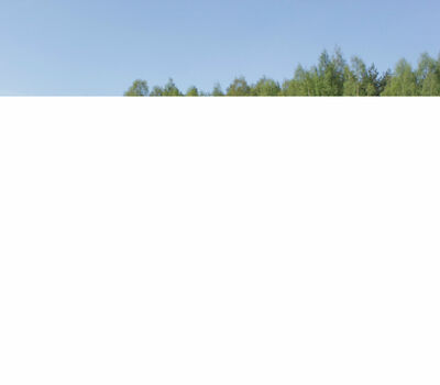 9 мая 2016 года