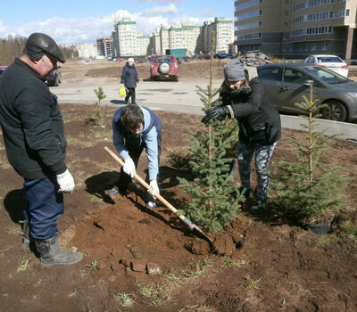 Подарок депутата Богдашова В.Е