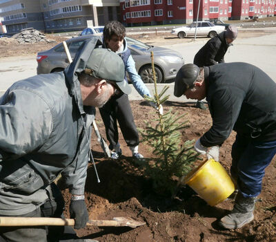 Подарок депутата Богдашова В.Е