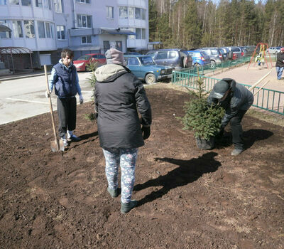 Подарок депутата Богдашова В.Е