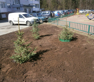 Подарок депутата Богдашова В.Е