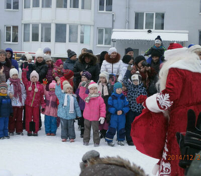 Новый 2015 год