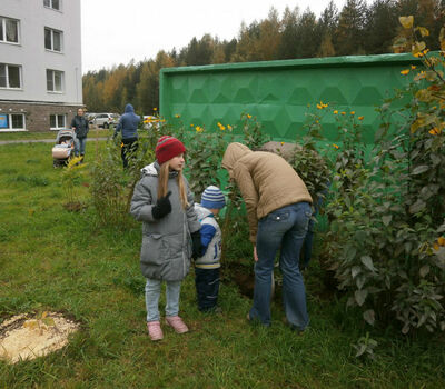 Субботник 05.10.14